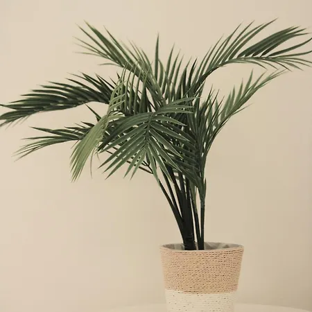 Holiday home Casa Ita *