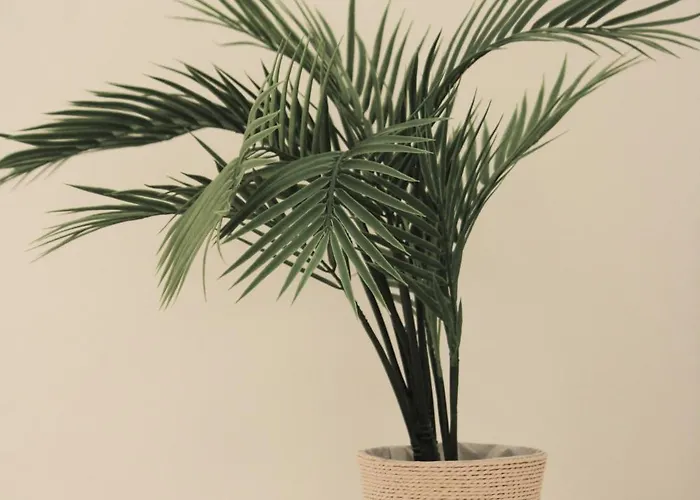 בית נופש Casa Ita *