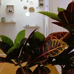 Casa Ita 別荘