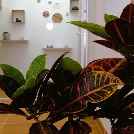 Casa Ita Holiday home